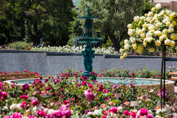 40 ans de la Roseraie Princesse Grace