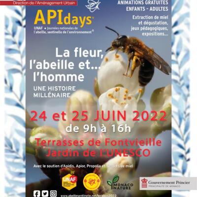 Animations - "APIdays 2022"