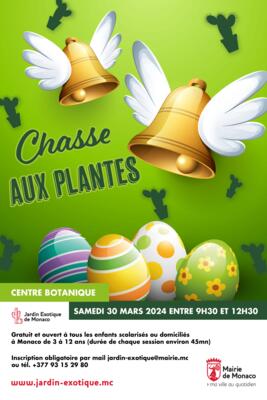 Animation - "Chasse aux plantes"