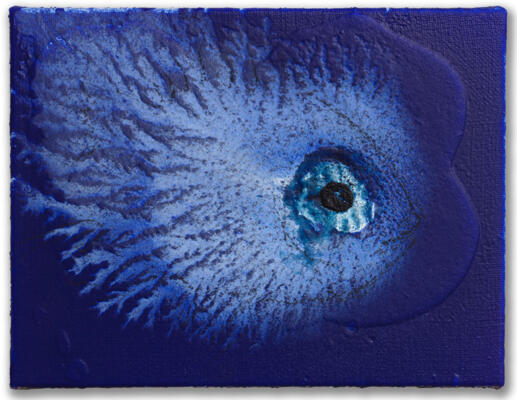 Exhibition - "Miquel Barceló, Oceanographer"